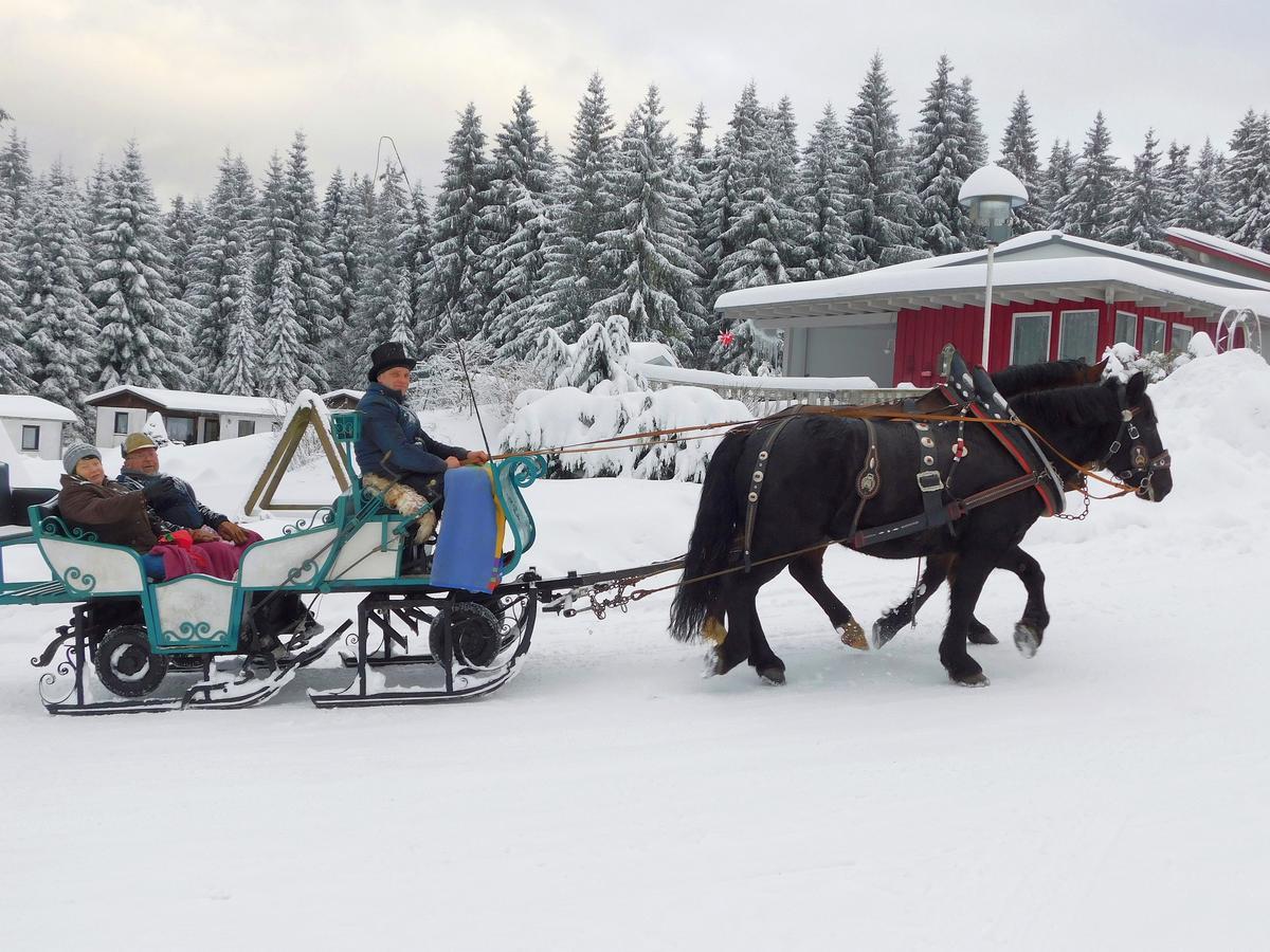 Waldhotel Rennsteighoehe Frauenwald Eksteriør bilde
