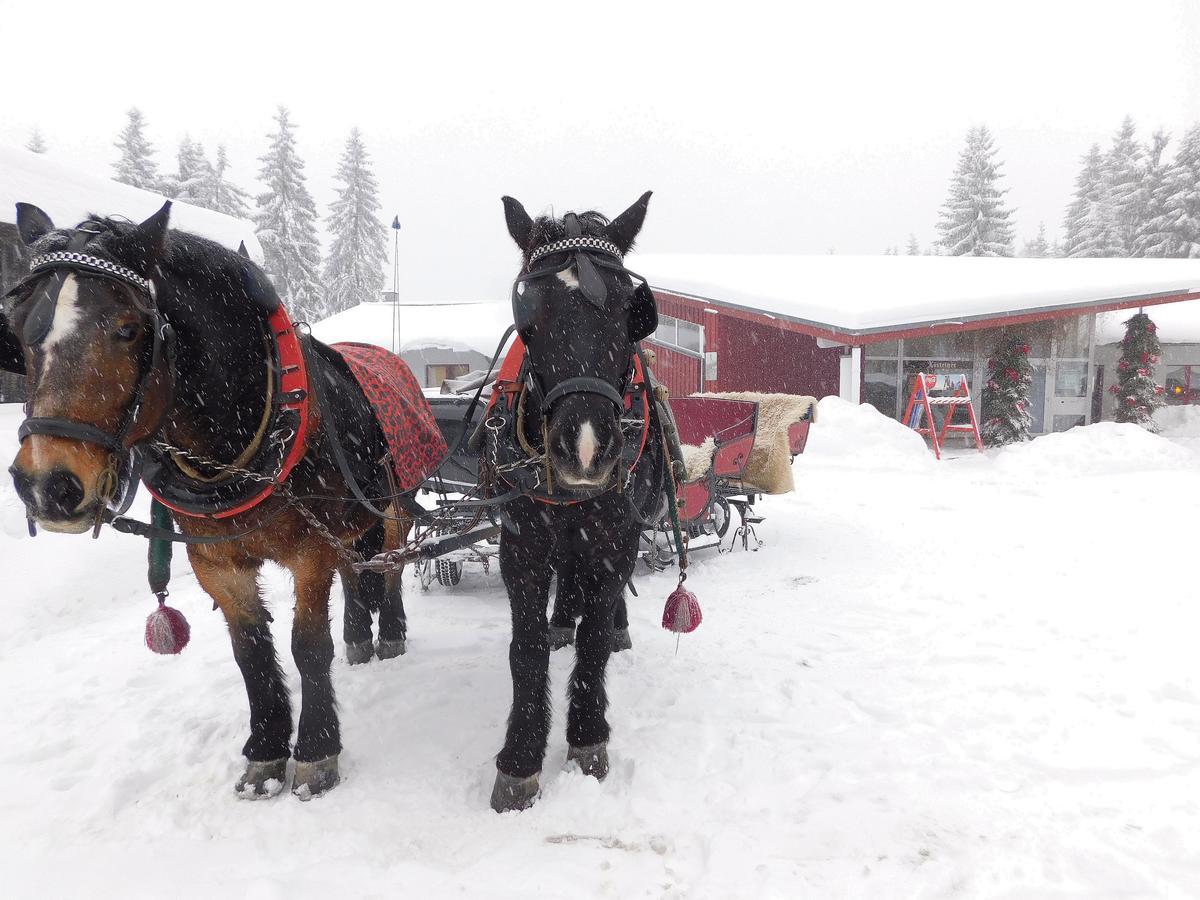 Waldhotel Rennsteighoehe Frauenwald Eksteriør bilde