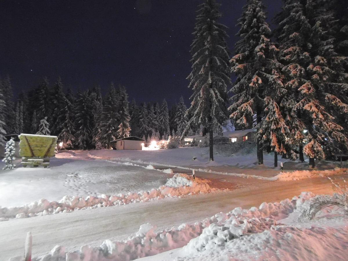 Waldhotel Rennsteighoehe Frauenwald Eksteriør bilde
